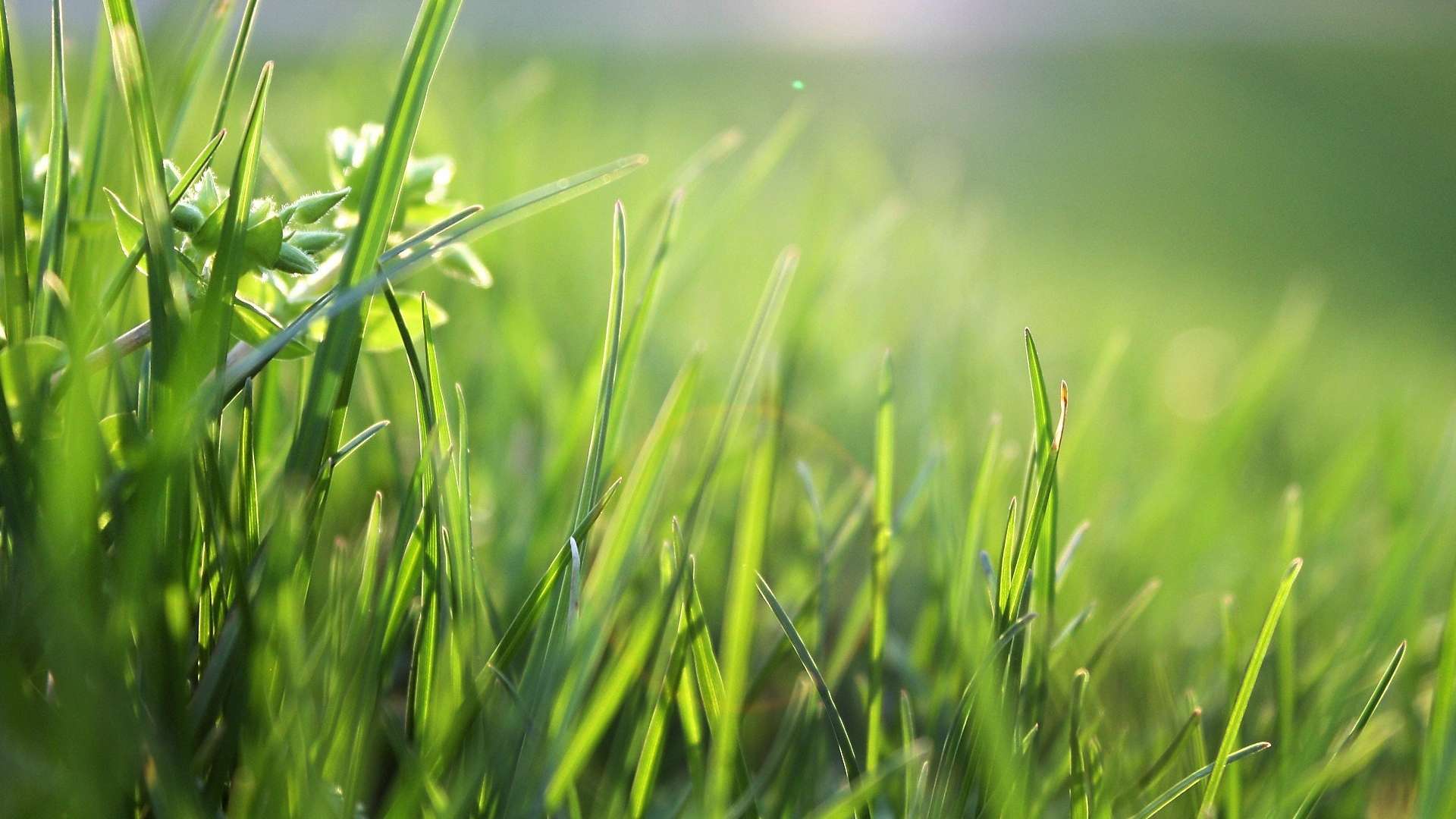 Najscapes Landscaping