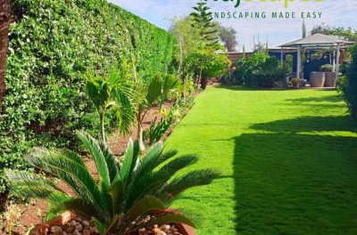 WhatsApp Image 2024-07-10 at 11.32.36