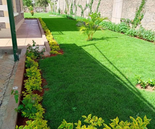 WhatsApp Image 2024-07-10 at 11.39.42