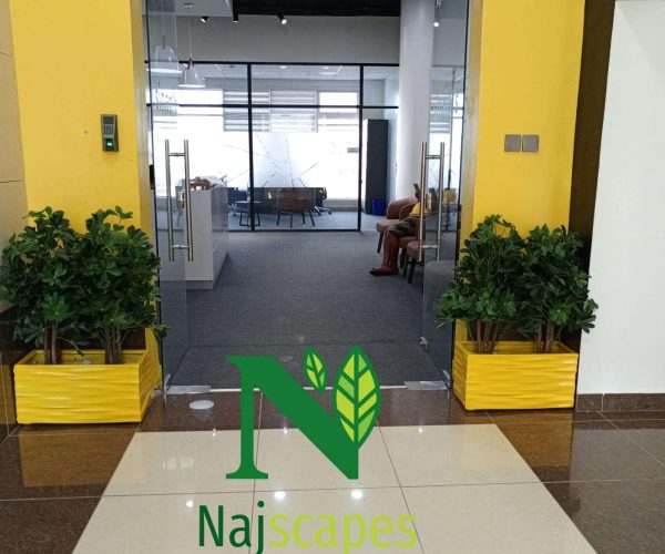 WhatsApp Image 2024-07-10 at 11.46.54