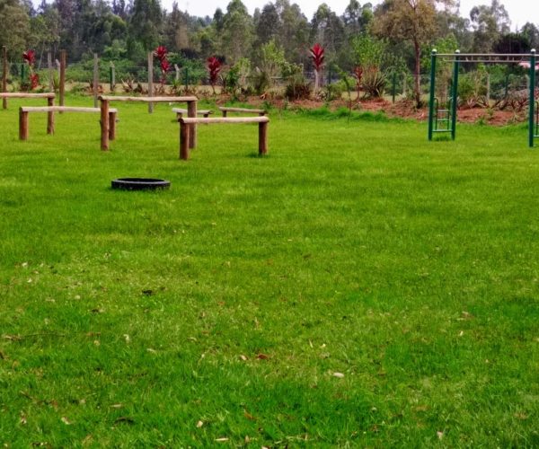 WhatsApp Image 2024-07-10 at 11.55.17