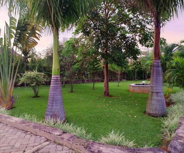 WhatsApp Image 2024-07-10 at 12.09.37